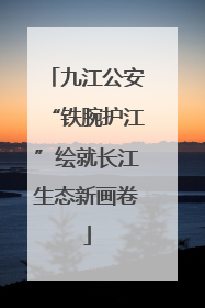 九江公安“铁腕护江”绘就长江生态新画卷