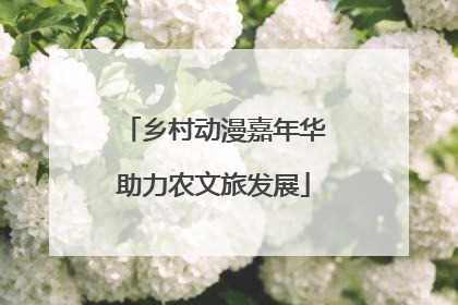 乡村动漫嘉年华助力农文旅发展