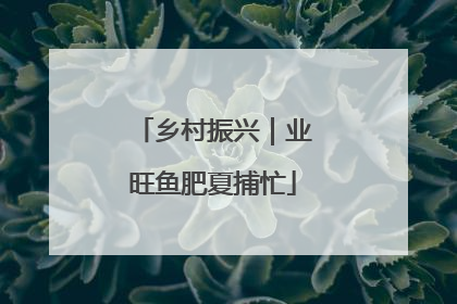 乡村振兴｜业旺鱼肥夏捕忙