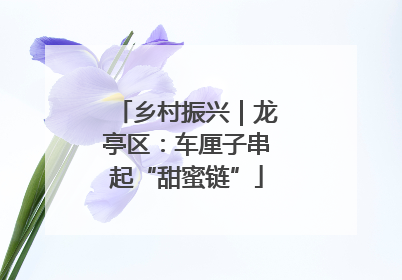 乡村振兴｜龙亭区：车厘子串起“甜蜜链”