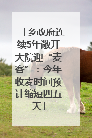乡政府连续5年敞开大院迎“麦客”：今年收麦时间预计缩短四五天