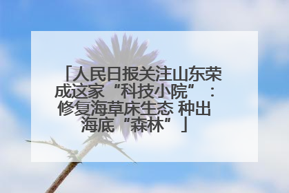人民日报关注山东荣成这家“科技小院”：修复海草床生态 种出海底“森林”