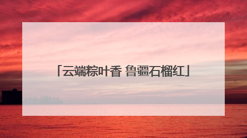 云端粽叶香 鲁疆石榴红