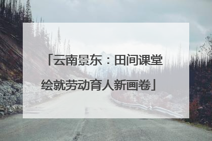 云南景东：田间课堂绘就劳动育人新画卷