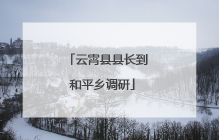 云霄县县长到和平乡调研