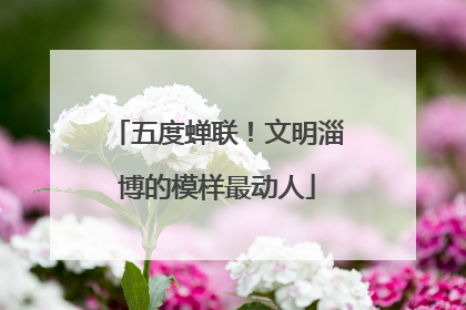 五度蝉联！文明淄博的模样最动人