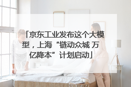 京东工业发布这个大模型，上海“链动众城 万亿降本”计划启动