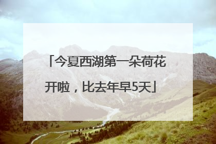 今夏西湖第一朵荷花开啦，比去年早5天