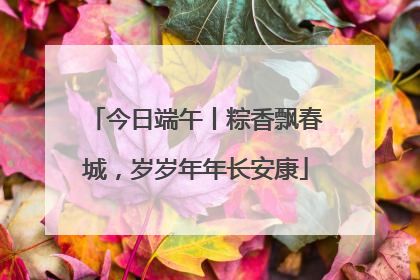 今日端午丨粽香飘春城，岁岁年年长安康