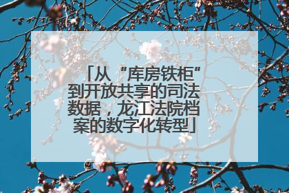 从“库房铁柜”到开放共享的司法数据，龙江法院档案的数字化转型