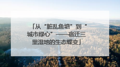 从“脏乱鱼塘”到“城市绿心”——宿迁三里湿地的生态蝶变