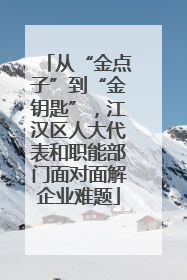 从“金点子”到“金钥匙”，江汉区人大代表和职能部门面对面解企业难题