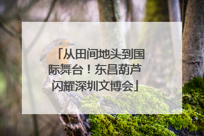 从田间地头到国际舞台！东昌葫芦闪耀深圳文博会