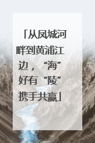 从凤城河畔到黄浦江边，“海”好有“陵”携手共赢