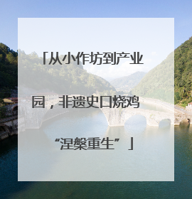 从小作坊到产业园，非遗史口烧鸡“涅槃重生”