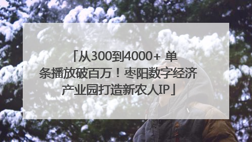从300到4000+ 单条播放破百万！枣阳数字经济产业园打造新农人IP