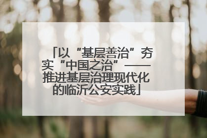 以“基层善治”夯实“中国之治”——推进基层治理现代化的临沂公安实践