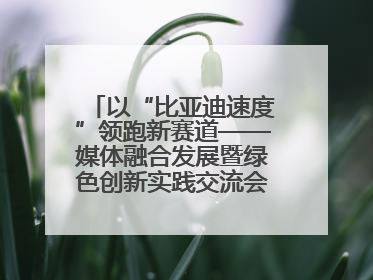 以“比亚迪速度”领跑新赛道——媒体融合发展暨绿色创新实践交流会首站走进比亚迪