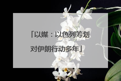 以媒：以色列筹划对伊朗行动多年