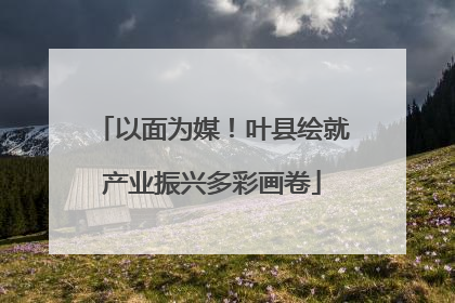 以面为媒！叶县绘就产业振兴多彩画卷