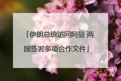 伊朗总统访问阿曼 两国签署多项合作文件