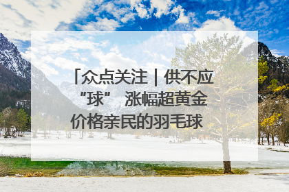 众点关注｜供不应“球” 涨幅超黄金 价格亲民的羽毛球为何身价飞涨？