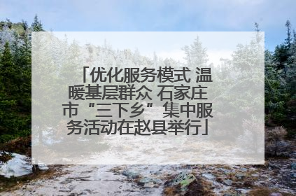 优化服务模式 温暖基层群众 石家庄市“三下乡”集中服务活动在赵县举行