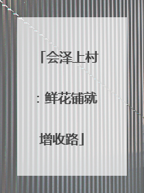 会泽上村：鲜花铺就增收路