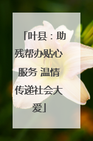 叶县：助残帮办贴心服务 温情传递社会大爱