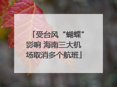 受台风“蝴蝶”影响 海南三大机场取消多个航班