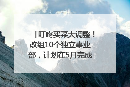 叮咚买菜大调整！改组10个独立事业部，计划在5月完成App端全面改版