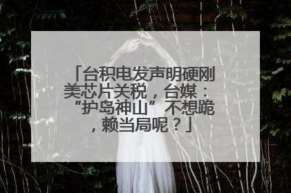 台积电发声明硬刚美芯片关税，台媒：“护岛神山”不想跪，赖当局呢？