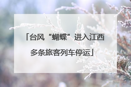 台风“蝴蝶”进入江西 多条旅客列车停运
