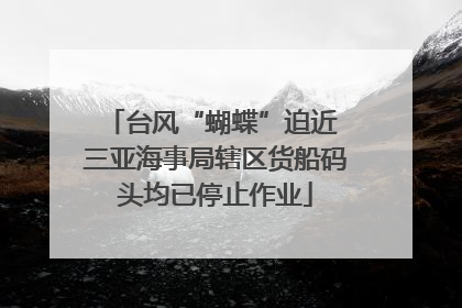 台风“蝴蝶”迫近 三亚海事局辖区货船码头均已停止作业