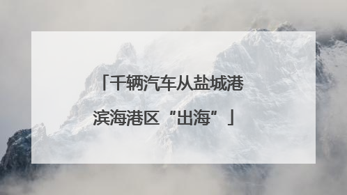 千辆汽车从盐城港滨海港区“出海”