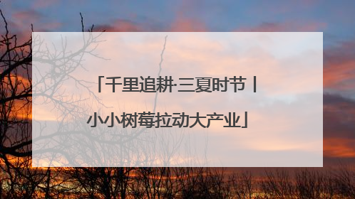 千里追耕·三夏时节丨小小树莓拉动大产业