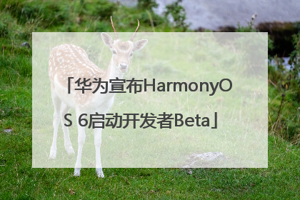 华为宣布HarmonyOS 6启动开发者Beta