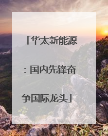 华太新能源：国内先锋奋争国际龙头