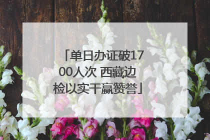 单日办证破1700人次 西藏边检以实干赢赞誉