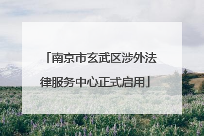 南京市玄武区涉外法律服务中心正式启用