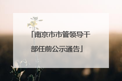 南京市市管领导干部任前公示通告