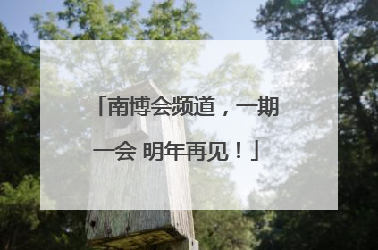 南博会频道，一期一会 明年再见！