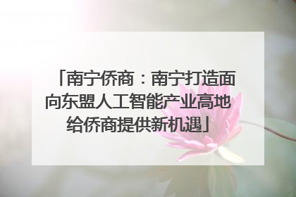 南宁侨商：南宁打造面向东盟人工智能产业高地给侨商提供新机遇