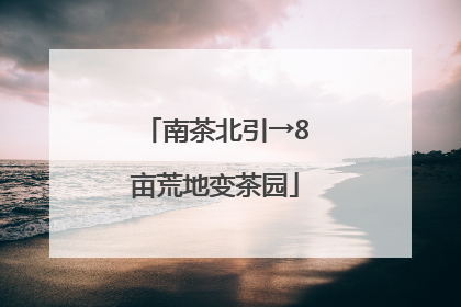 南茶北引→8亩荒地变茶园