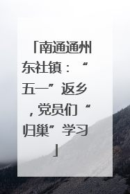 南通通州东社镇：“五一”返乡，党员们“归巢”学习