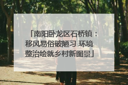 南阳卧龙区石桥镇：移风易俗破陋习 环境整治绘就乡村新图景
