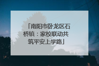 南阳市卧龙区石桥镇：家校联动共筑平安上学路