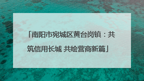 南阳市宛城区黄台岗镇：共筑信用长城 共绘营商新篇
