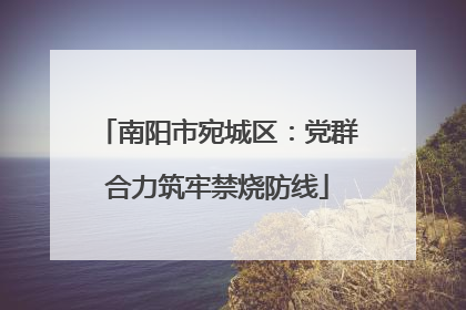 南阳市宛城区：党群合力筑牢禁烧防线
