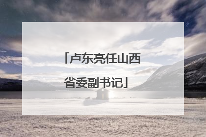 卢东亮任山西省委副书记